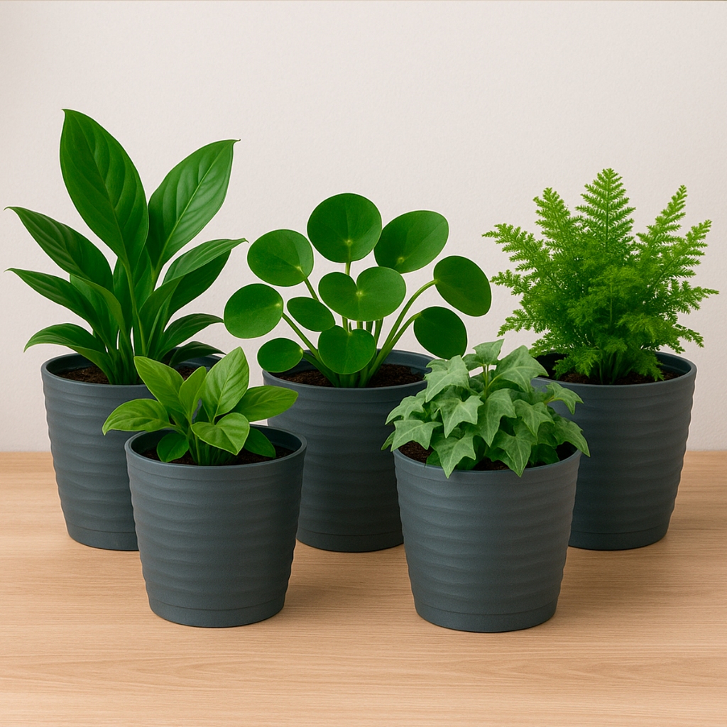 Kit 12 Vasos Jardineira Flor Planta Hortaliça Concreto Prato Anti Dengue DasPlast Plastico Reforçado - Oferta na Shopee
