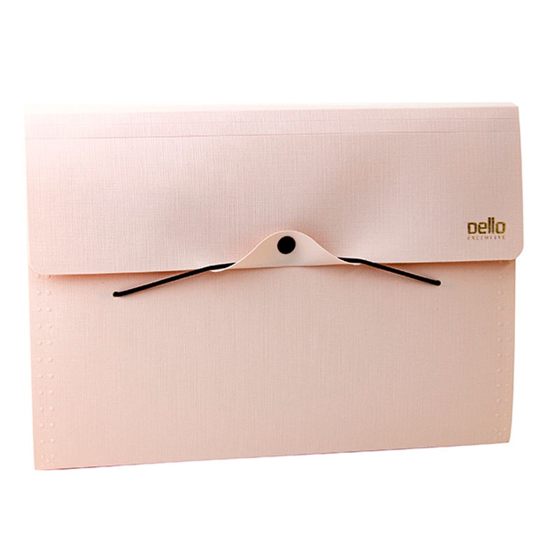 Pasta sanfonada A4 com 12 divisórias Executive rosa claro 6094.W Dello - Oferta na Shopee