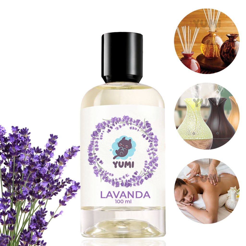 Kit 3 Essência Concentrada 100ml Aromatizante Umidificador Lavanda Eucalipto Canela Bamboo Kit 3 Essência Concentrada 100ml Aromatizante Umidificador Lavanda Eucalipto Canela Bamboo