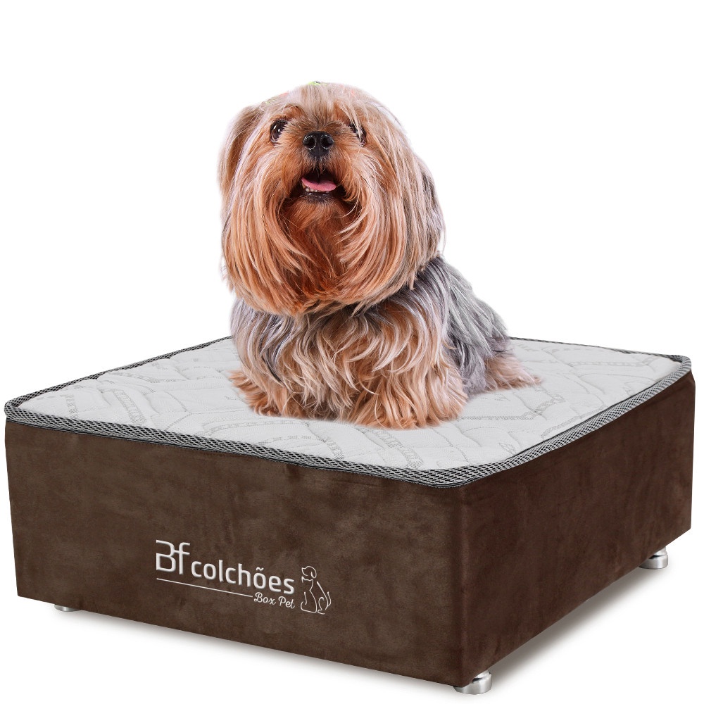 Cama Box Caminha para Cachorro e Gato em Suede Marrom + Lençol Impermeável 60X60x24cm BF Colchões Cama Box Caminha para Cachorro e Gato em Suede Marrom + Lençol Impermeável 60X60x24cm BF Colchões