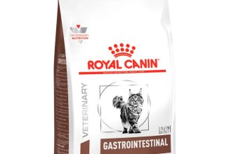Ração Royal Canin Veterinary Diet Gastrointestinal Gatos com Doenças Intestinais 4 Kg - Cat Food vendido por LeluPets