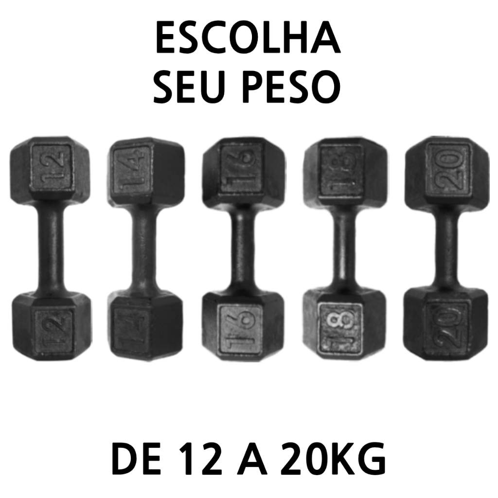 Halter Pintado 12 a 20kg Peso de Academia Dumbbell Sextavado Para Treino Em Casa Musculação Halter Pintado 12 a 20kg Peso de Academia Dumbbell Sextavado Para Treino Em Casa Musculação