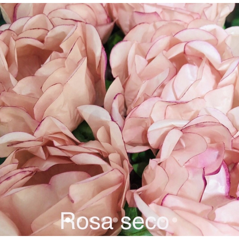 24 Forminhas ROSA SECO Para Doces Finos, Para Casamento Aniversários, Debutantes e Decoração MOD. CELEBRARE 24 Forminhas ROSA SECO Para Doces Finos, Para Casamento Aniversários, Debutantes e Decoração MOD. CELEBRARE