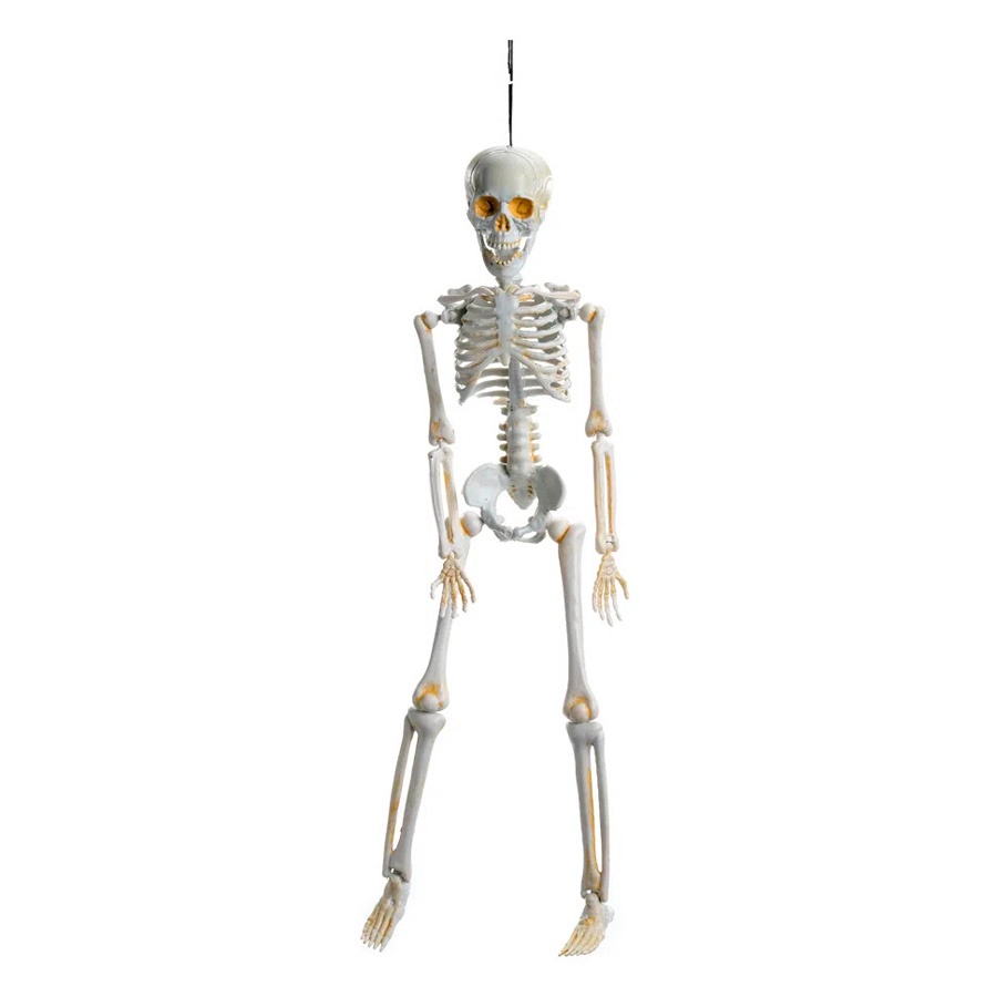Enfeite Decorativo Halloween – Caveira Amom – 40cm – 1 unidade – Cromus – Rizzo Enfeite Decorativo Halloween – Caveira Amom – 40cm – 1 unidade – Cromus – Rizzo