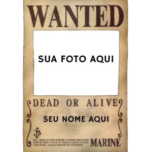 QUADRO PERSONALIZADO ONE PIECE PROCURADO  - 14x20 cm