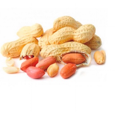 Amendoim Cru Com Casca Premium 1kg Amendoim Cru Com Casca Premium 1kg