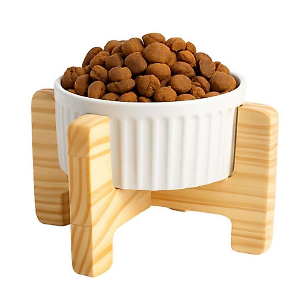 Comedouro Pet Ergonômico Elevado Porcelana Cachorro Gato Comedouro Pet Ergonômico Elevado Porcelana Cachorro Gato - Oferta na Shopee