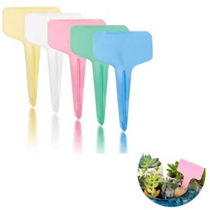 Kit 150 Etiquetas De Planta Tipo T Para Mudas Externo Dágua - Oferta na Shopee