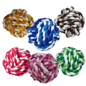 Brinquedo Bolinha para Cachorro de Corda com Aroma Savana Pet - Oferta na Shopee