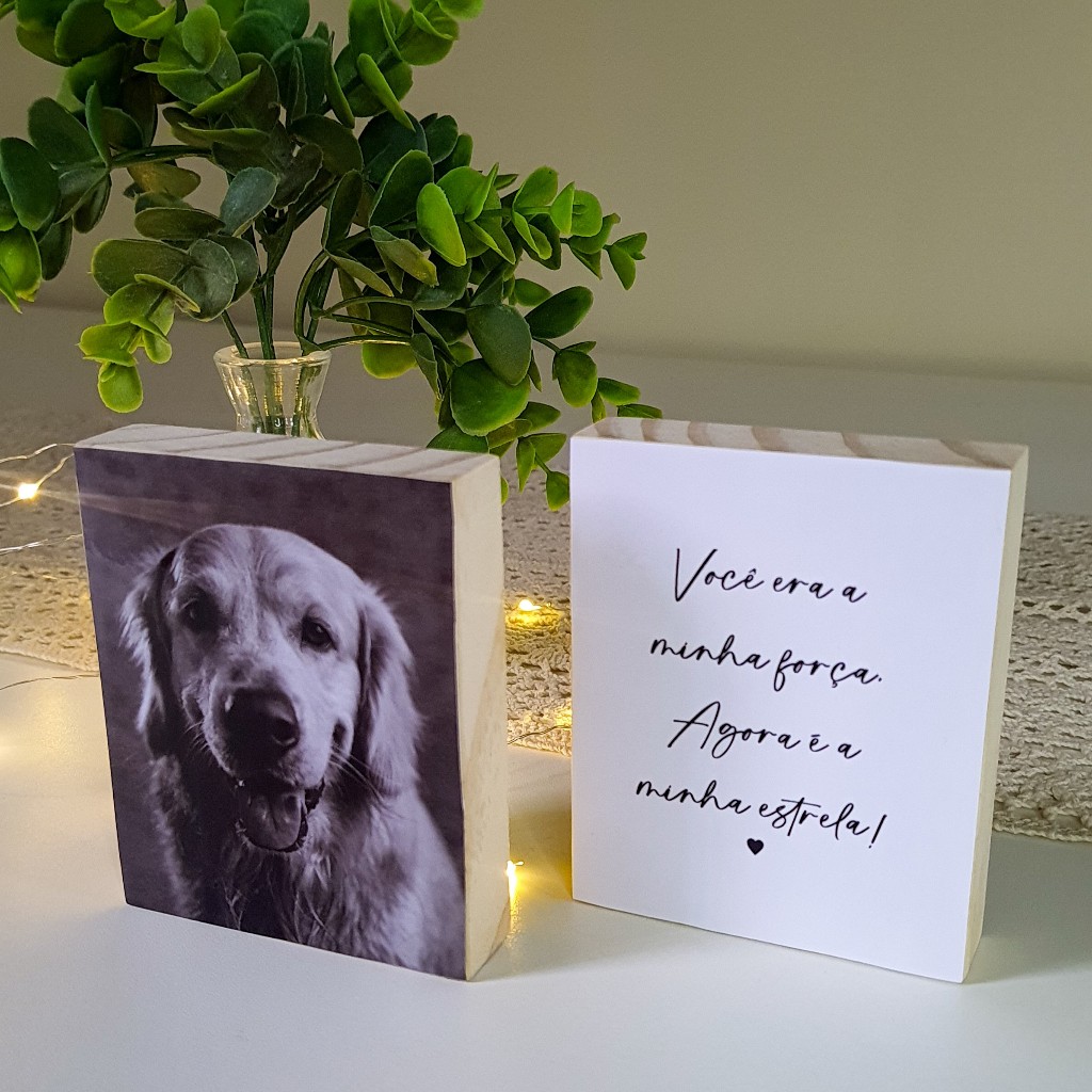 Quadros Personalizados "Minha Estrela" Pets Cachorro Homenagem Quadros Personalizados "Minha Estrela" Pets Cachorro Homenagem - Oferta na Shopee