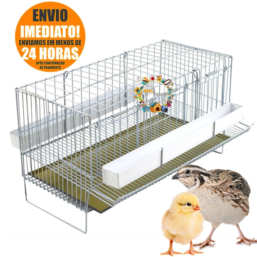 Gaiola COMPLETA Para Codorna Poedeira Aves Completa Chocadeira Criadeira de Pintinhos Aves Gaiola COMPLETA Para Codorna Poedeira Aves Completa Chocadeira Criadeira de Pintinhos Aves - Oferta na Shopee
