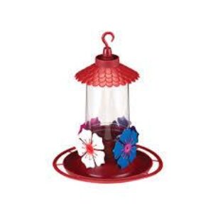 Bebedouro Beija Flor Colibri Passaros Ecológico 290ml Com Chapéu e Poleiro Bandeja - Oferta na Shopee