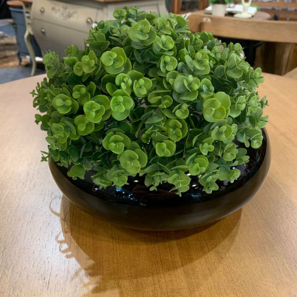 Planta Artificial de Mini Suculenta Realista Picks para Decoração de Arranjos com Flores Artificiais Planta Artificial de Mini Suculenta Realista Picks para Decoração de Arranjos com Flores Artificiais - Oferta na Shopee