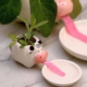 Cachepot Animal Bichinho Regador Em Porcelana Pequeno Decoração - Oferta na Shopee
