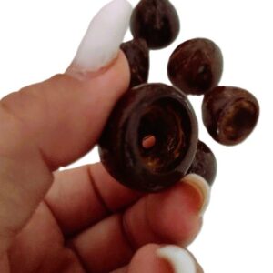 Coité pingente coco envernizado para guia de umbanda Candomblé baianos - Oferta na Shopee