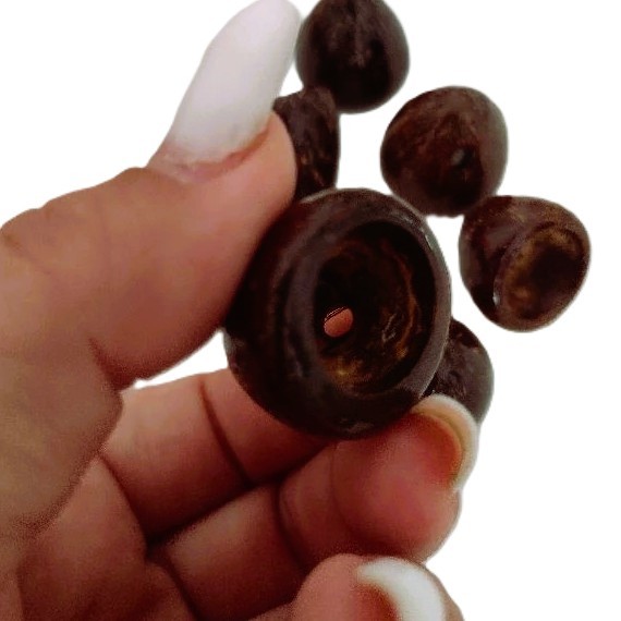 Coité pingente coco envernizado para guia de umbanda Candomblé baianos Coité pingente coco envernizado para guia de umbanda Candomblé baianos - Oferta na Shopee