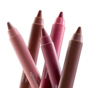 Lápis Apontável Dailus Contorno Labial Alta Pigmentação Volumosos e Definidos - Escolha - Oferta na Shopee