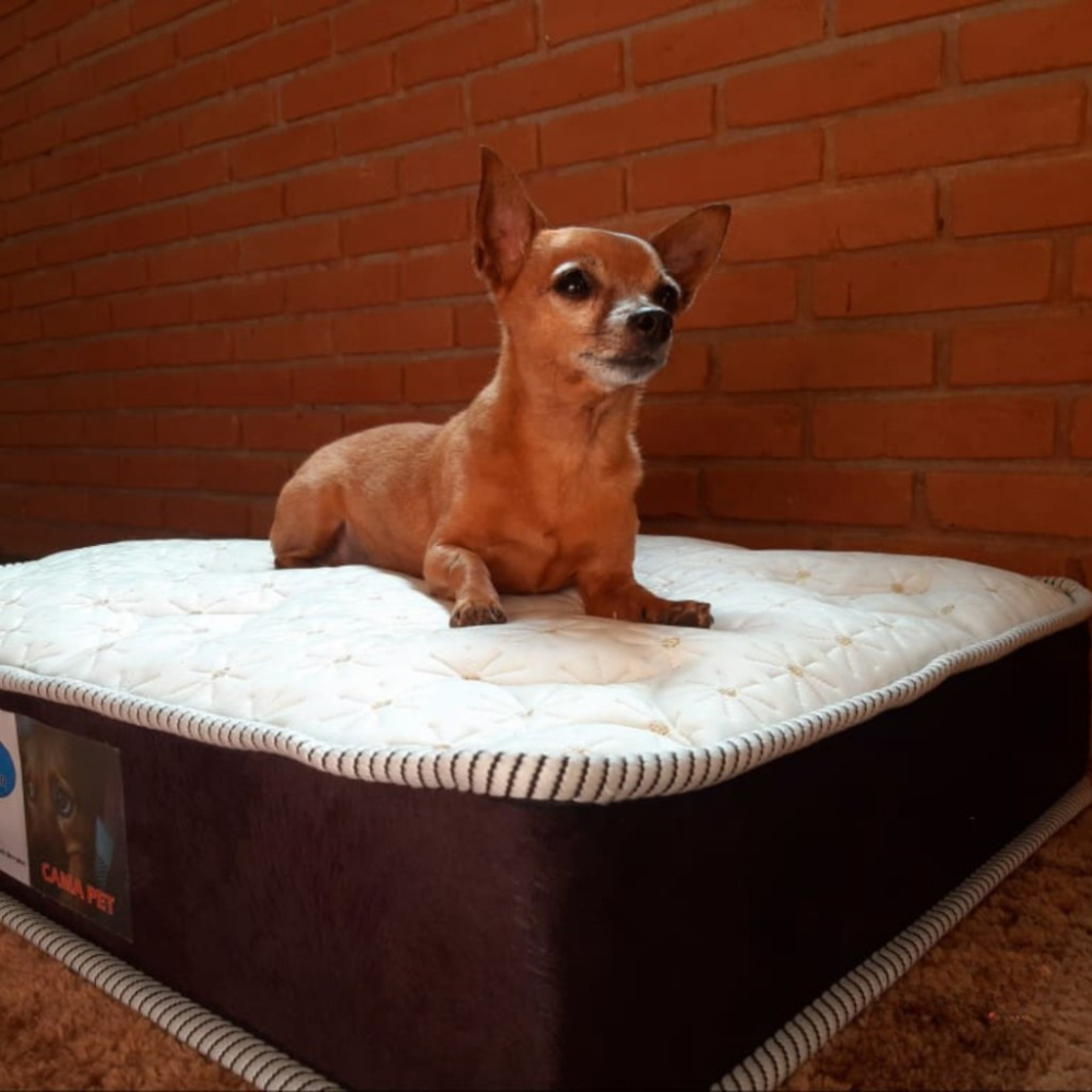 Cama para cachorro-caminha para cachorro sob medida - colchão para pet - 80x60x10cm Cama para cachorro-caminha para cachorro sob medida - colchão para pet - 80x60x10cm - Oferta na Shopee