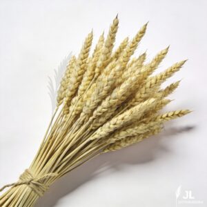 30 Trigos Seco Para Decoração Elegante Ceia Igreja Mesa Sala de Jantar Farmhouse - Oferta na Shopee