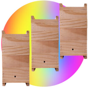 3 Unidades Caixa Abelha jatai 12x12 Interno 2 melgueiras Modelo INPA ASF Abelha Sem Ferrão Nativa Mandaçaia  Uruçu Iraí - Oferta na Shopee