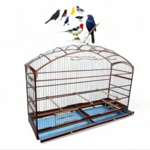 Gaiola Grande Voadeira Em Arame de aço Malha Fina Abaulada Com Coxo.. - Oferta na Shopee