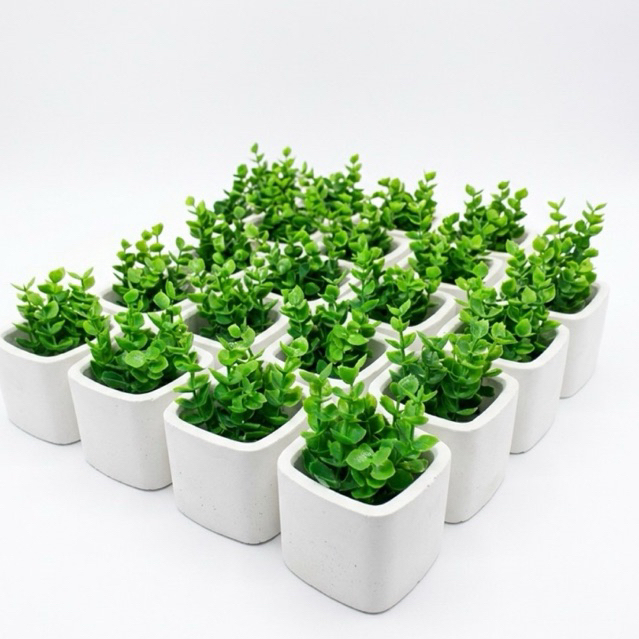 mini vasinhos de gesso 5x5cm branco já com planta artificial mini vasinhos de gesso 5x5cm branco já com planta artificial - Oferta na Shopee