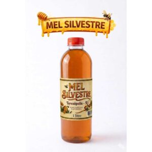 Mel Puro de Abelha 100% orgânico Florada Silvestre 1