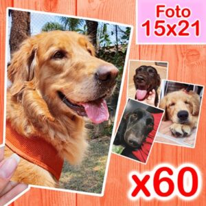 Revelar Fotos 15x21 (60 Unidades) - Oferta na Shopee