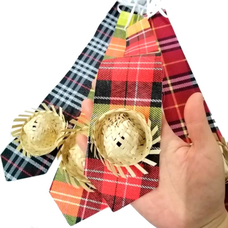 Gravata caipira quadrilha festa junina chapeuzinho palha Gravata caipira quadrilha festa junina chapeuzinho palha - Oferta na Shopee