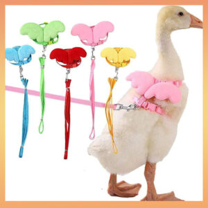 Coleira Ajustável para Pato