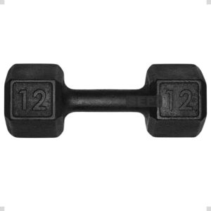 Halter 12 Kg Un Musculação sextavado preto ferro Exercícios Treino casa Academia Hexagonal Unidade - Oferta na Shopee