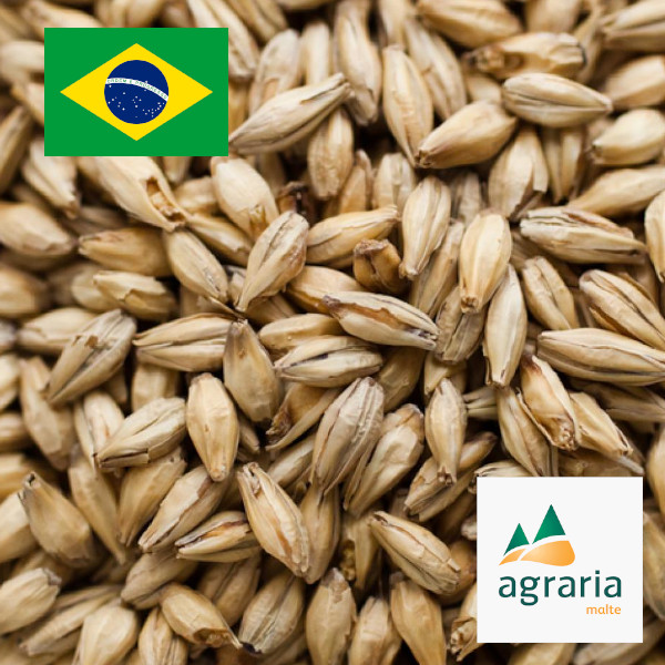 Malte Agraria Pilsen - 3kg Malte Agraria Pilsen - 3kg - Oferta na Shopee