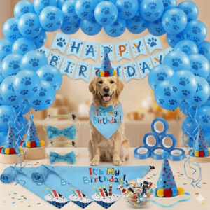 Kit Festa Pet Completo Aniversário Creche Cachorro Gatos Todos Portes - Oferta na Shopee
