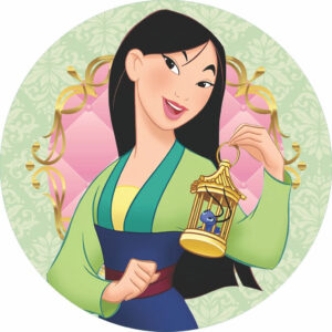Painel Princesa Mulan| Decoração Festa Princesas | Tecido Premium | Vários Modelos | Frete Grátis | 150x150cm e 50x50cm - Oferta na Shopee