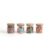 Kit 4 potes de vidro herméticos com tampa de bambu 200ml – Oikos
