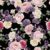 Papel de parede floral com fundo preto e flores em tons de rosa e roxo 1,50 mts
