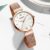 CURREN Relógios Femininos Moda Simples Quartzo Aço Inoxidável À Prova D’água 9067 XQ