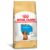 Ração Royal Canin Puppy para Cães Filhotes da Raça Dachshund – 2,5Kg