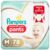 Fralda Pampers Premium Care Pants Top Tamanho M com 78 unidades