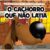 Livro – O cachorro que não latia – Capa comum – Ciranda Cultural