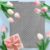 Círculo Embossing Corte Scrapbooking Morre