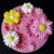Molde De Silicone Flor Margarida Para Confeitaria E Biscuit