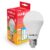 Lampada Led Bulbo 12w Bivolt E27 6500K Luz Branca Ourolux