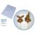 Forma Simples  Pirulito Coelho 14 – (L8) em Acetato BWB Para Bombom e Doces de Chocolate Páscoa