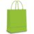 Sacola de Papel Médio Verde – 10 unidades – Cromus – Rizzo Distribuidora