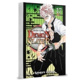 Mangá – Demon Slayer – Kimetsu no Yaiba – 17