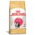 Ração Royal Canin Kitten Persian para Gatos Filhotes da Raça Persa – 1,5Kg