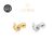 Piercing Helix Conch Labret Titânio PVD Zircônia Brilhante Forma Raposa