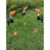 Família Tucanos Kit Com 3 Decoração de Jardim Enfeite 45 cm *SUPER REALISTA*
