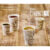 50 copo de papel mocca capuchino darnel 236 ml 8oz Biodegradável off